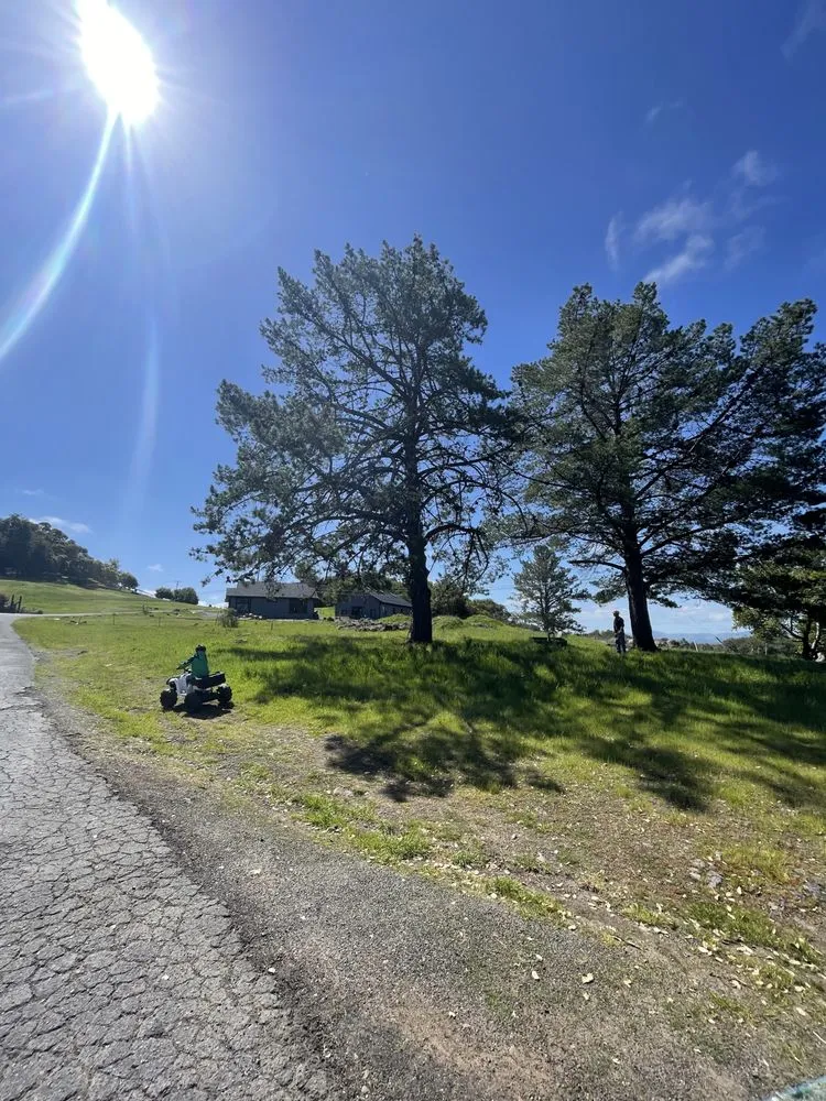 Expert lawn care service for residential properties across Penngrove, CA - RNR Landscaping