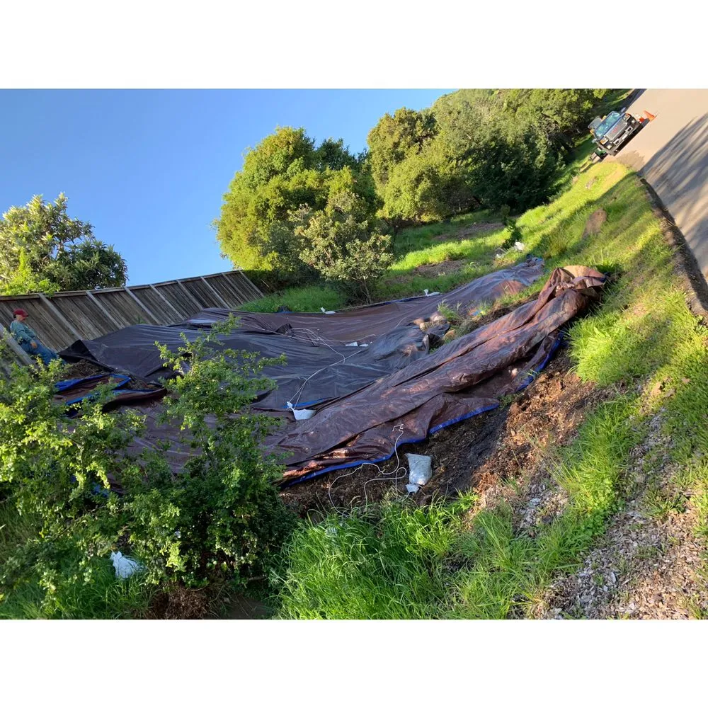 Affordable residential landscaping for year-round maintenance across Penngrove, CA - RNR Landscaping