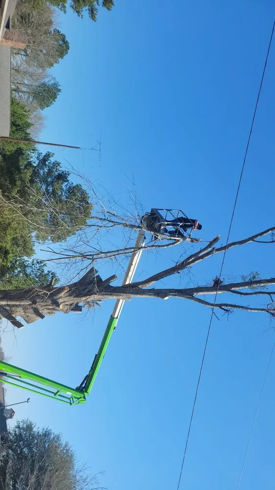 Affordable landscaping services in Perry, GA - RNR Lawn Care Service