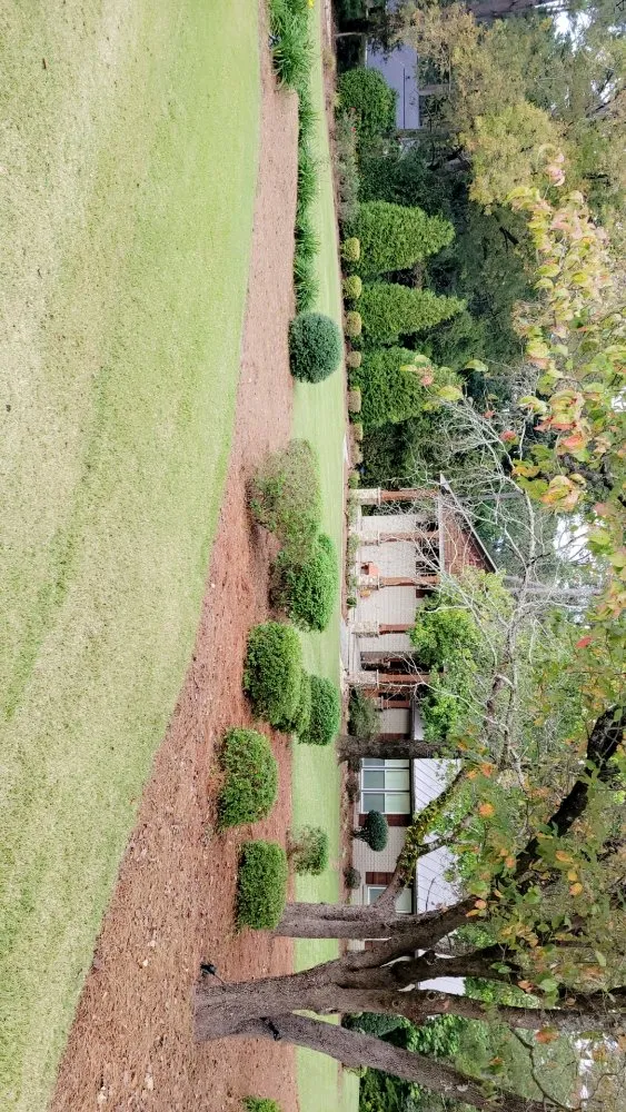 Affordable yard cleanup service in Perry, GA - RNR Lawn Care Service