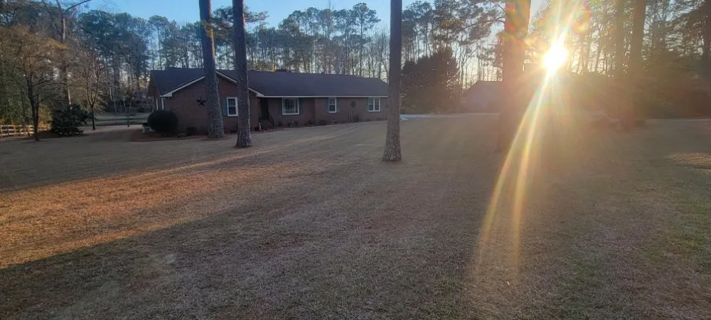 Top-rated yard cleanup service in Perry, GA - RNR Lawn Care Service