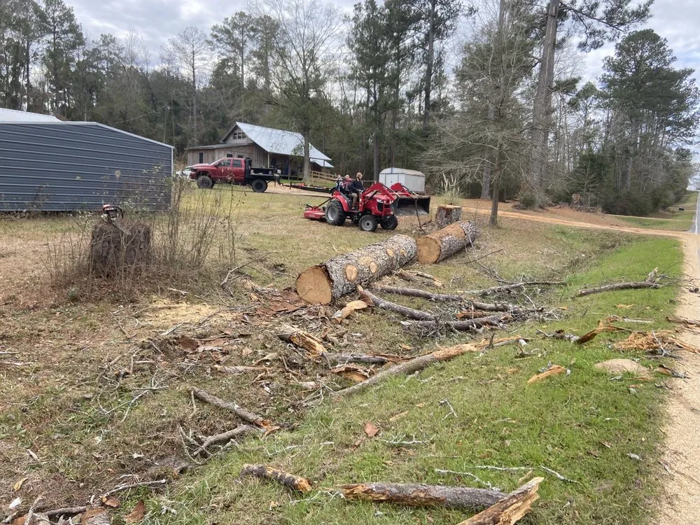 Trusted yard cleanup service in Hattiesburg, MS by Rnr Outdoor Improvement