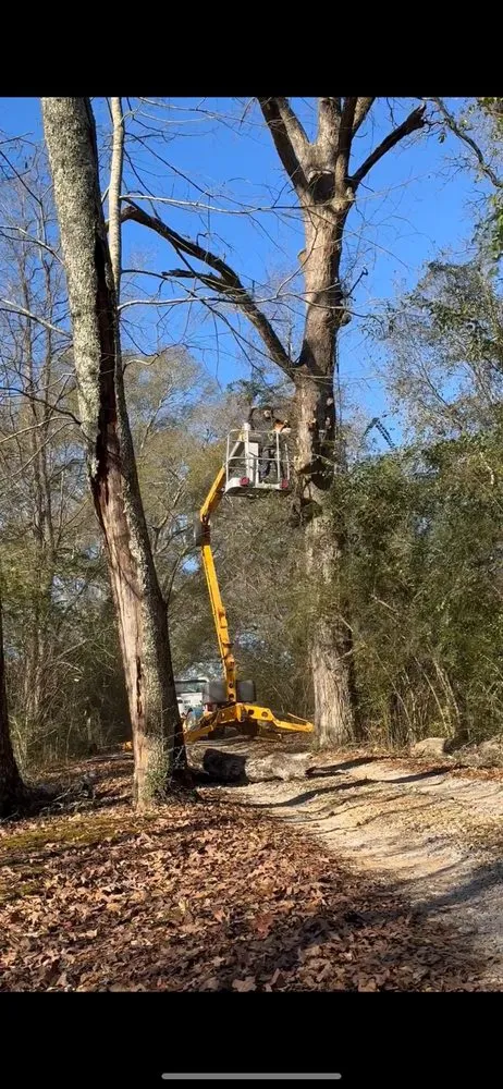 Local outdoor landscaping in Hattiesburg, MS by Rnr Outdoor Improvement