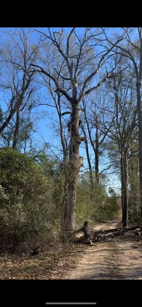 Top-rated yard maintenance experts serving Hattiesburg, MS - Rnr Outdoor Improvement