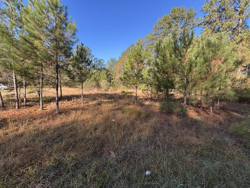 Local outdoor landscaping in Hattiesburg, MS by Rnr Outdoor Improvement