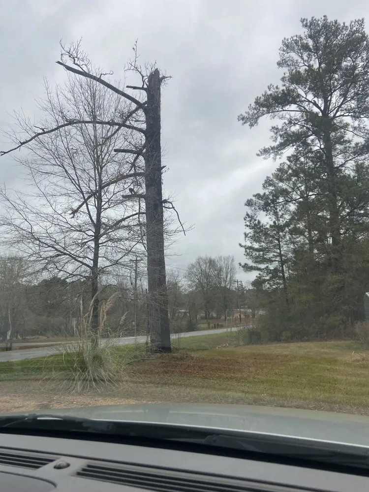 Reliable outdoor landscaping for year-round maintenance in Hattiesburg, MS by Rnr Outdoor Improvement