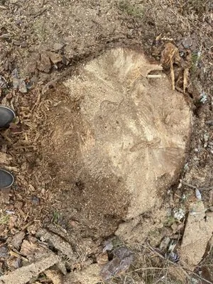 Rnr Outdoor Improvement Logo