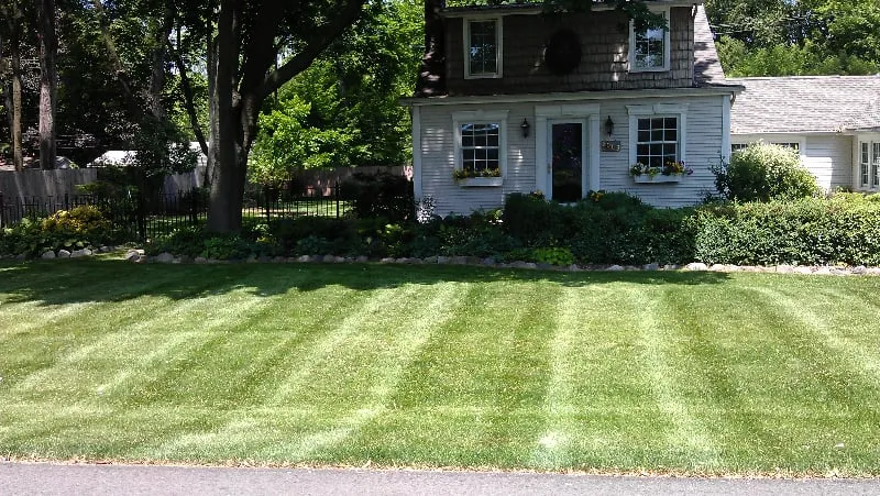 Local garden landscaping in Troy, MI - RNS Landscaping Solutions