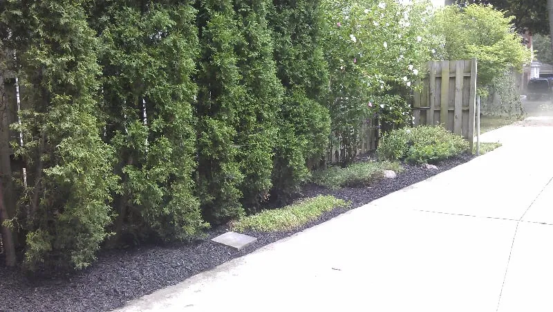 Local residential landscaping in Troy, MI by RNS Landscaping Solutions