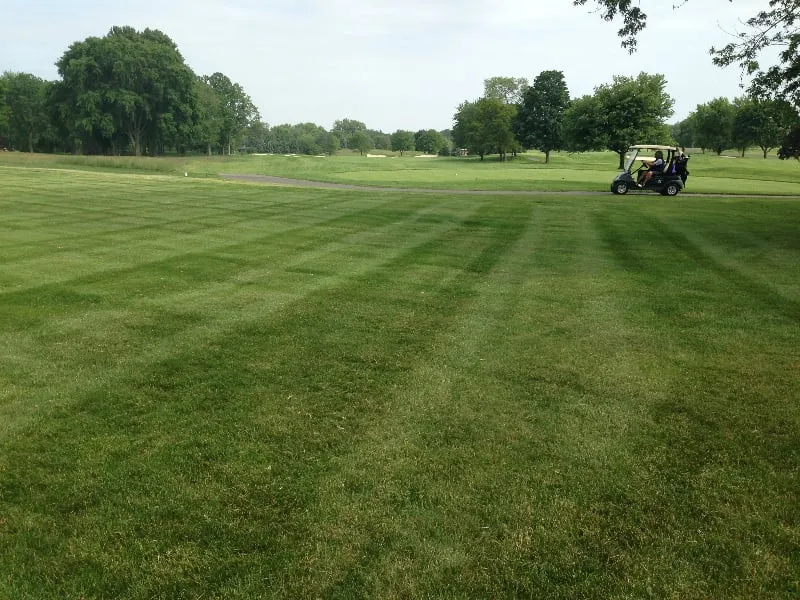 Top-rated lawn care service for beautiful yards across Troy, MI - RNS Landscaping Solutions