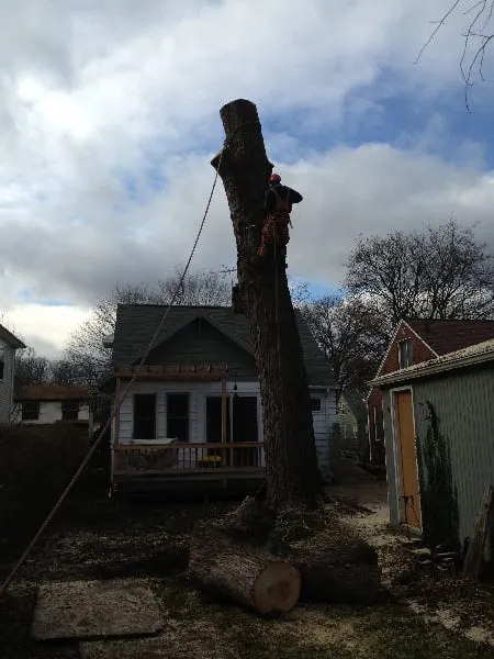 Custom residential landscaping in Troy, MI by RNS Landscaping Solutions