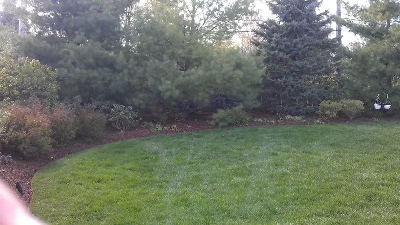 Affordable yard cleanup service in Troy, MI by RNS Landscaping Solutions