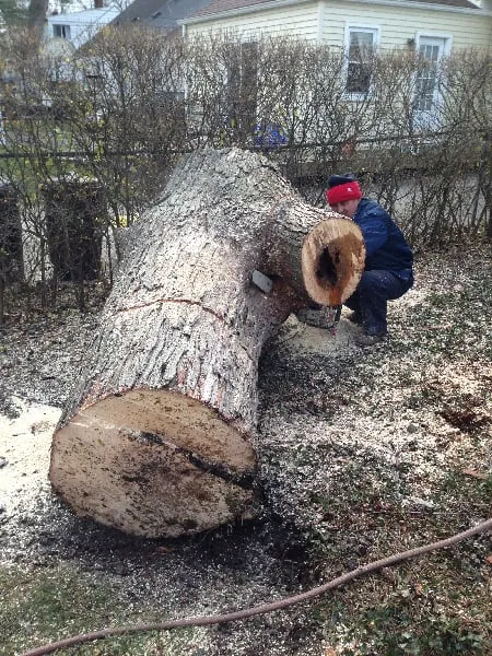 Reliable landscaping services near you in Troy, MI by RNS Landscaping Solutions