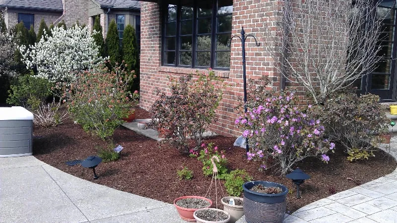 Professional yard maintenance for homes across Troy, MI - RNS Landscaping Solutions