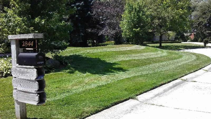 Affordable yard cleanup service near you across Troy, MI - RNS Landscaping Solutions