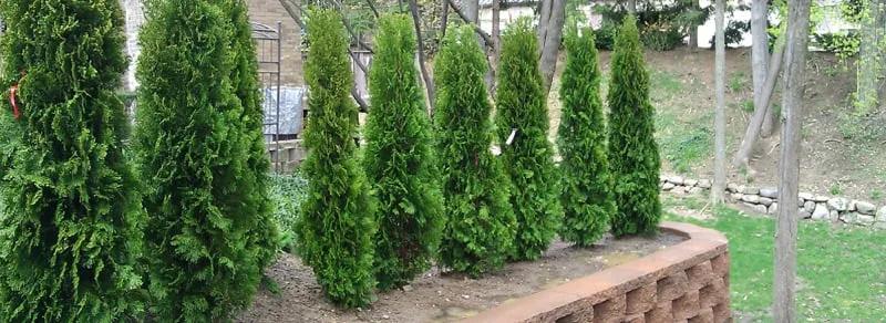 Custom landscape design for beautiful yards across Troy, MI - RNS Landscaping Solutions