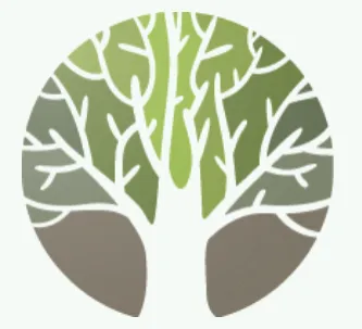 Affordable lawn care service for outdoor upgrades across Pittsfield, MA - RNZ Solutions