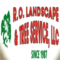 Custom landscape installation for homes across Tucson, AZ - R.O. Landscape & Tree Service