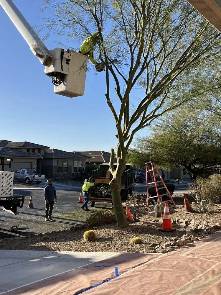Expert garden landscaping experts serving Tucson, AZ - R.O. Landscape & Tree Service