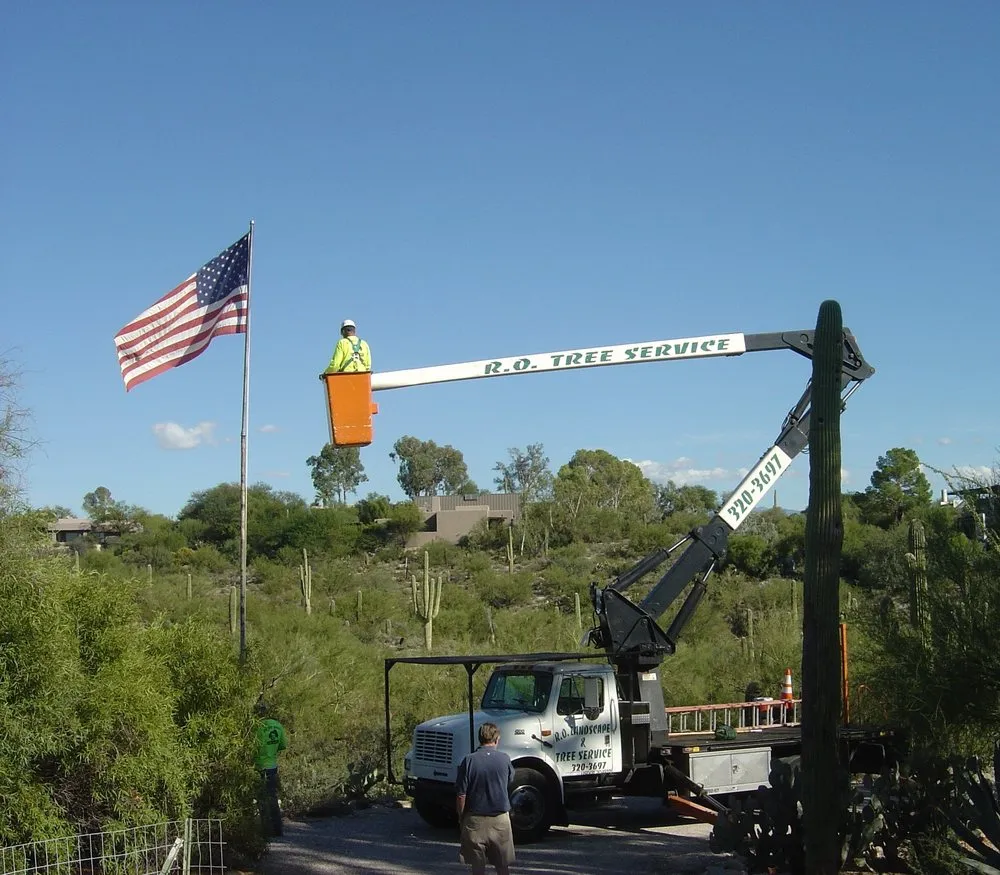 Reliable landscape design for year-round maintenance in Tucson, AZ by R.O. Landscape & Tree Service