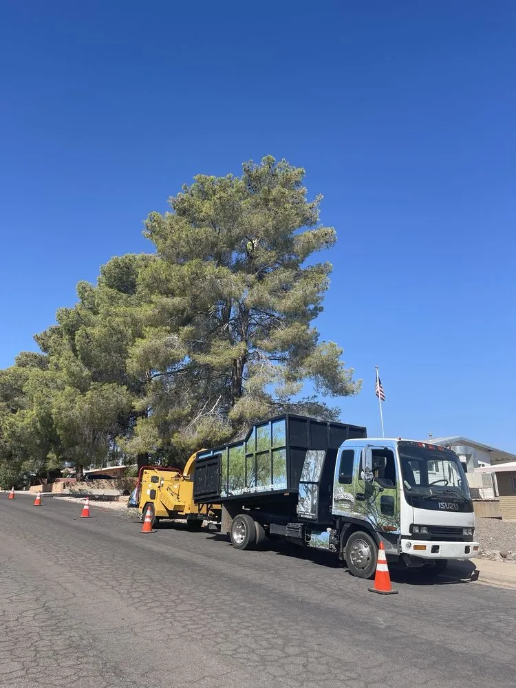 Trusted yard maintenance in Tucson, AZ by R.O. Landscape & Tree Service