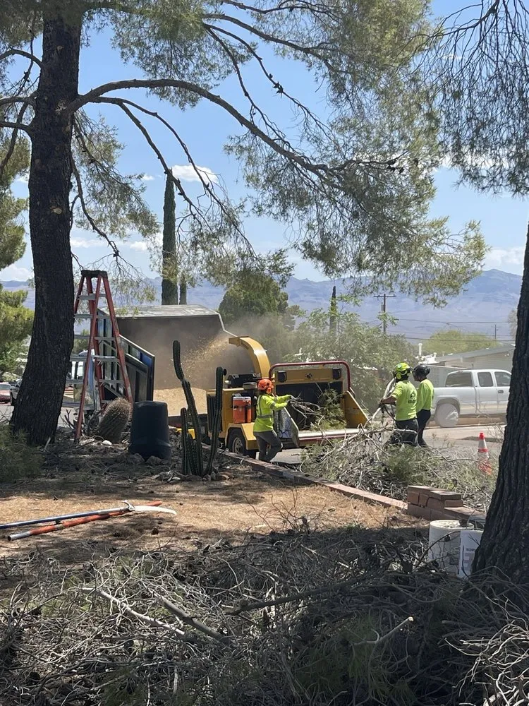 Trusted yard maintenance in Tucson, AZ by R.O. Landscape & Tree Service