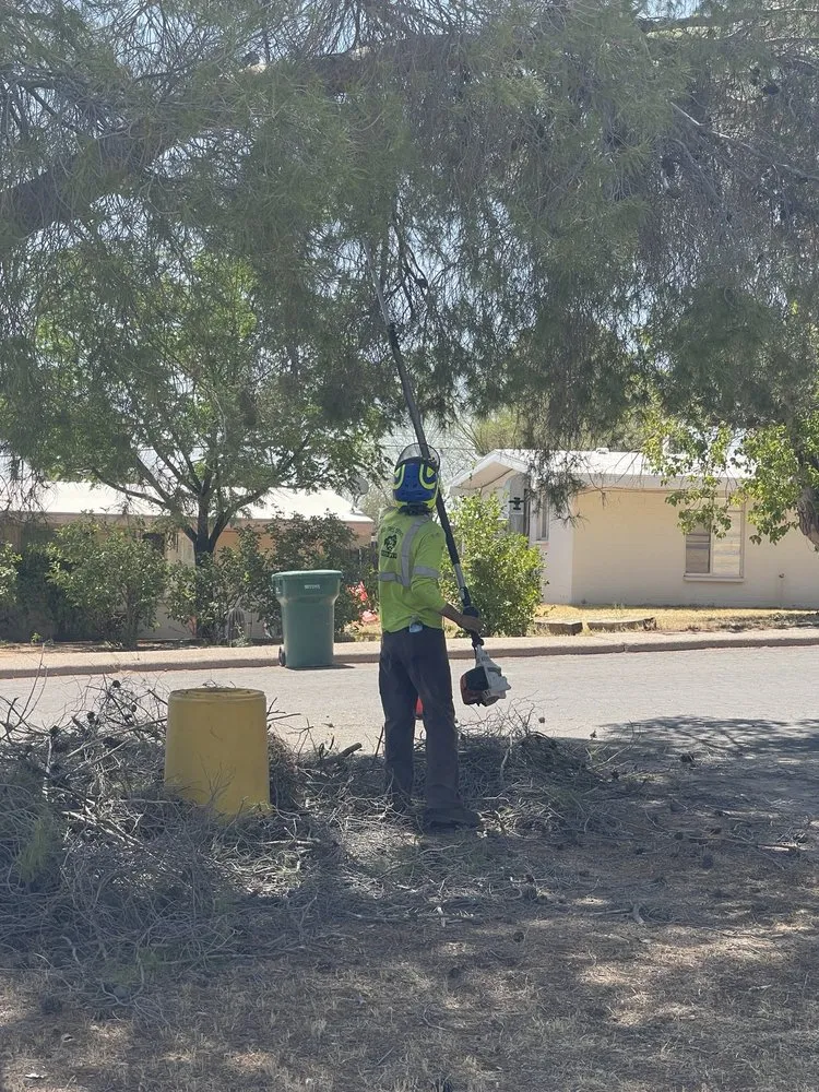 Professional landscaping services in Tucson, AZ by R.O. Landscape & Tree Service