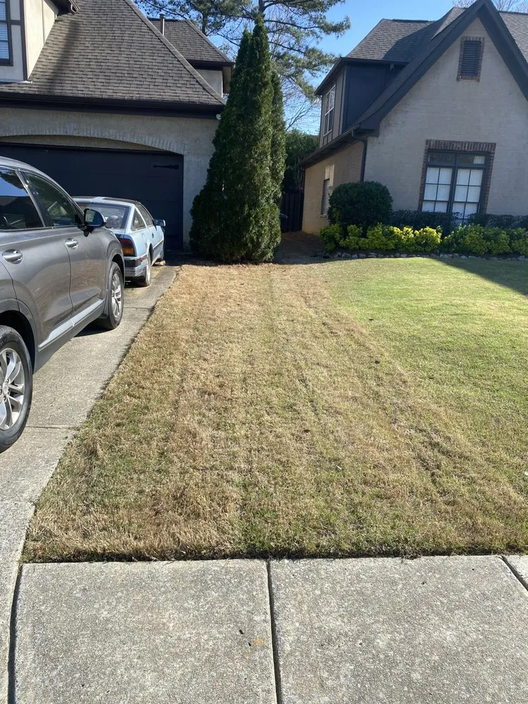 Expert outdoor landscaping for homes in Brighton, AL by Ro Landscaping