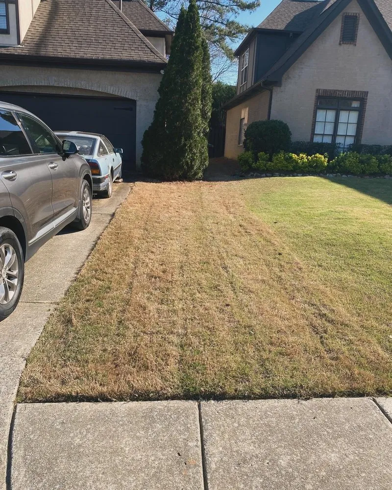 Expert outdoor landscaping for homes across Brighton, AL - Ro Landscaping