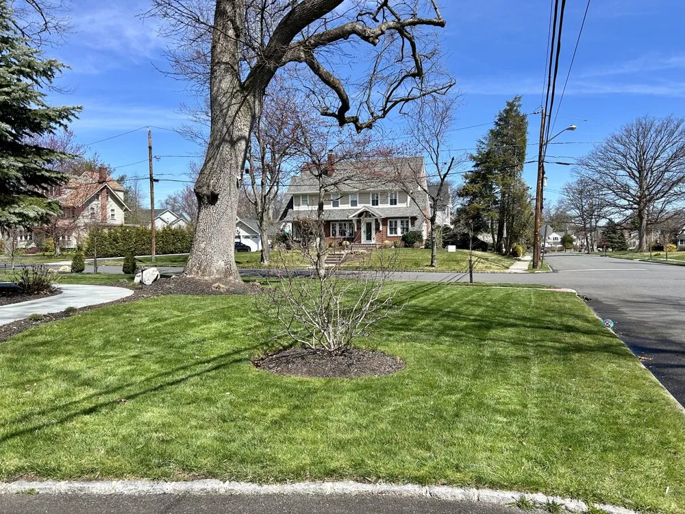 Top-rated yard cleanup service for year-round maintenance across Kenilworth, NJ - RO Landscaping