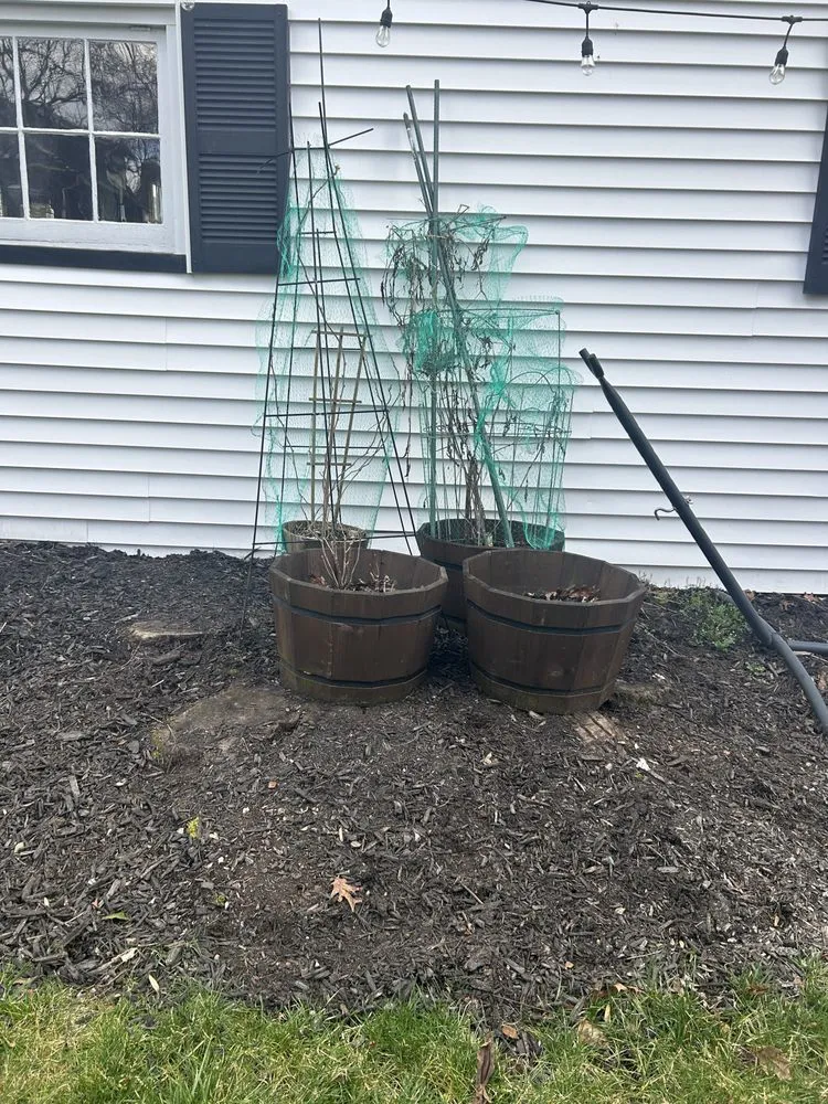 Professional yard maintenance experts serving Kenilworth, NJ - RO Landscaping