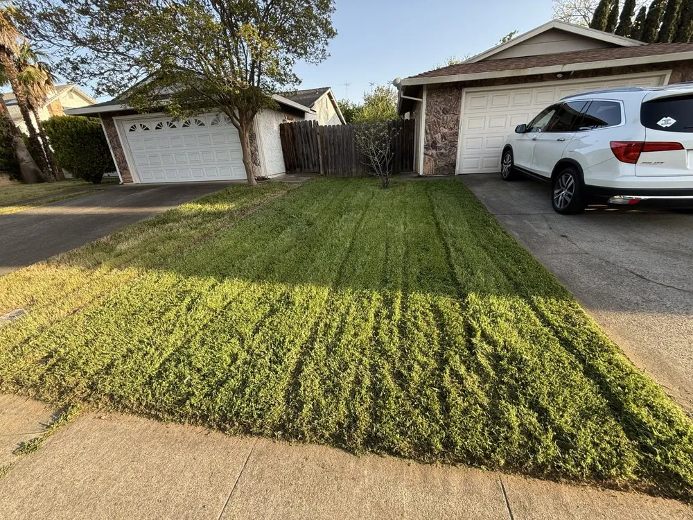 Custom yard maintenance in North Highlands, CA by RO Lawn&Decor