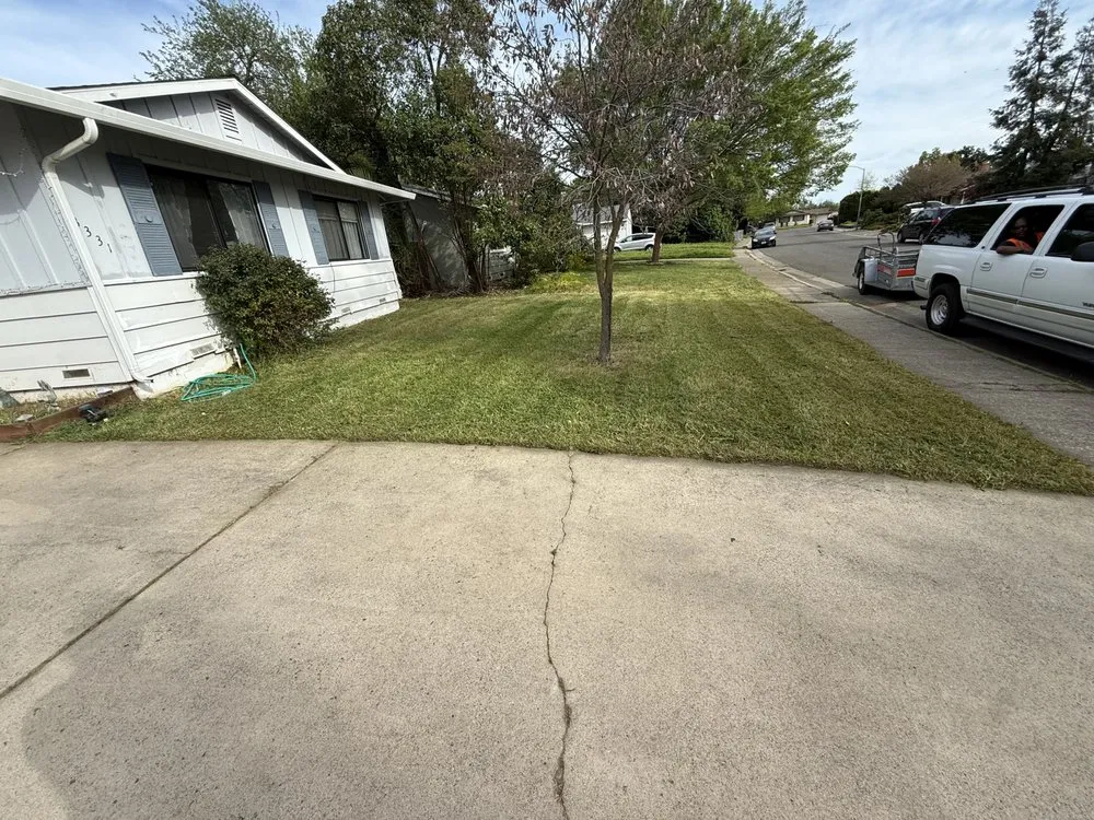 Professional landscape design for year-round maintenance in North Highlands, CA by RO Lawn&Decor