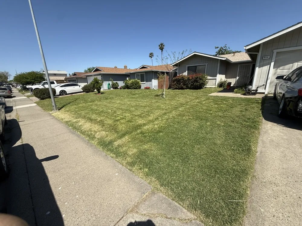 Expert yard cleanup service experts serving North Highlands, CA - RO Lawn&Decor