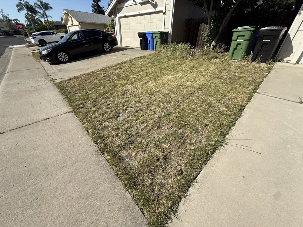 Expert yard cleanup service for outdoor upgrades in North Highlands, CA by RO Lawn&Decor