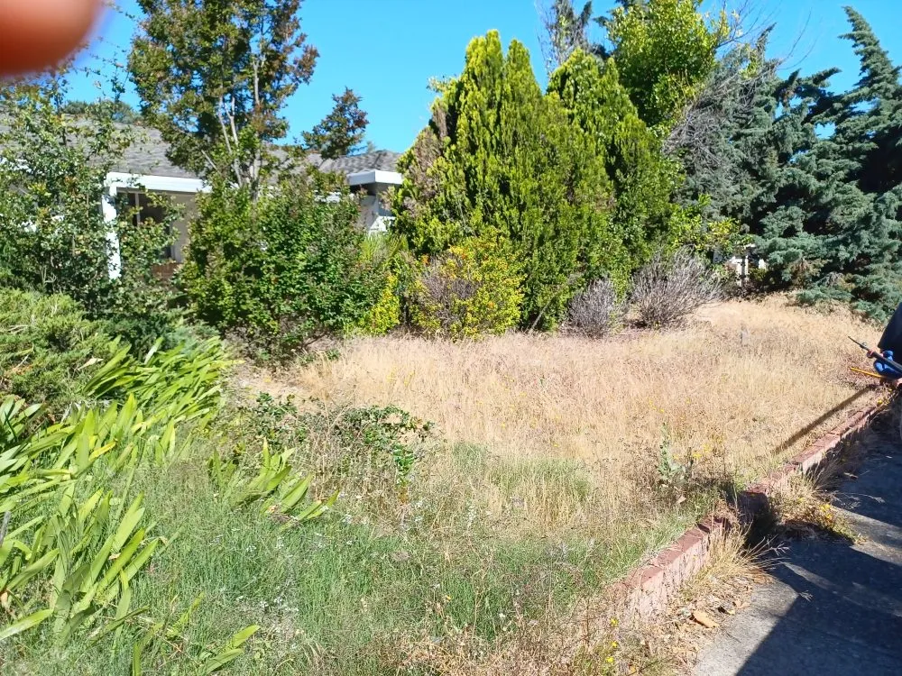 Reliable residential landscaping for beautiful yards across Rancho Cordova, CA - ROA Lawn Maintenance