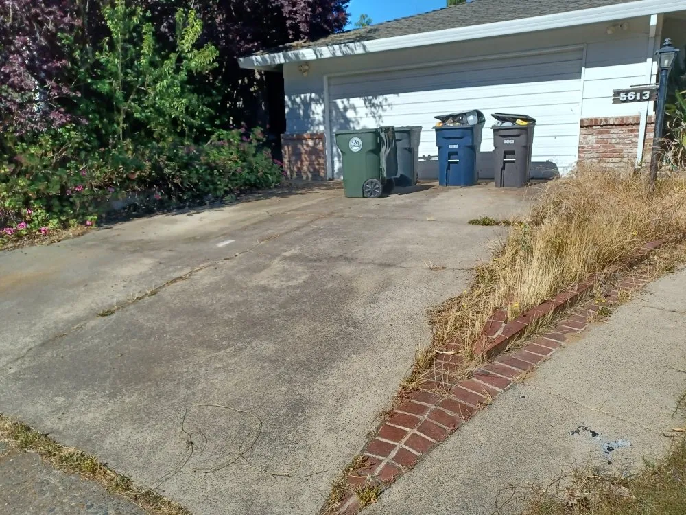 Custom yard cleanup service for year-round maintenance across Rancho Cordova, CA - ROA Lawn Maintenance