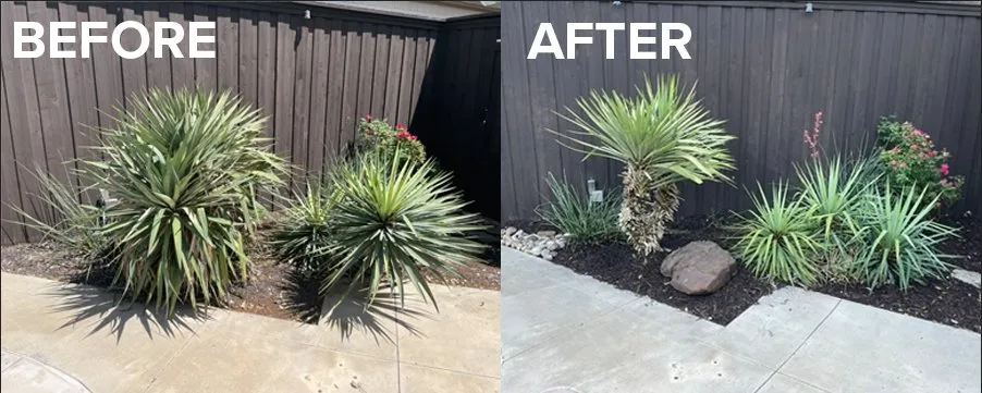 Expert landscaping services for beautiful yards in Carrollton, TX by Roa Tree Service