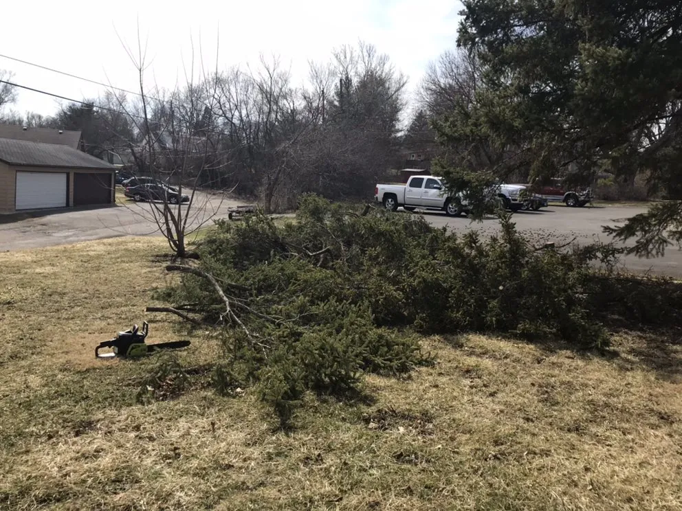 Reliable garden landscaping for beautiful yards in Rockford, IL by Roach landscaping