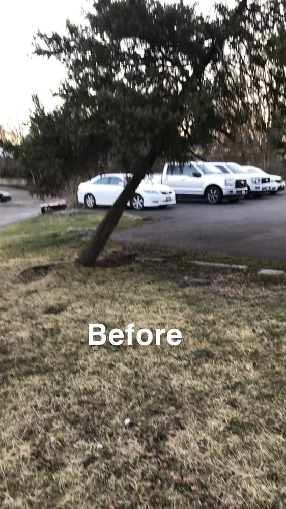 Professional garden landscaping experts serving Rockford, IL - Roach landscaping