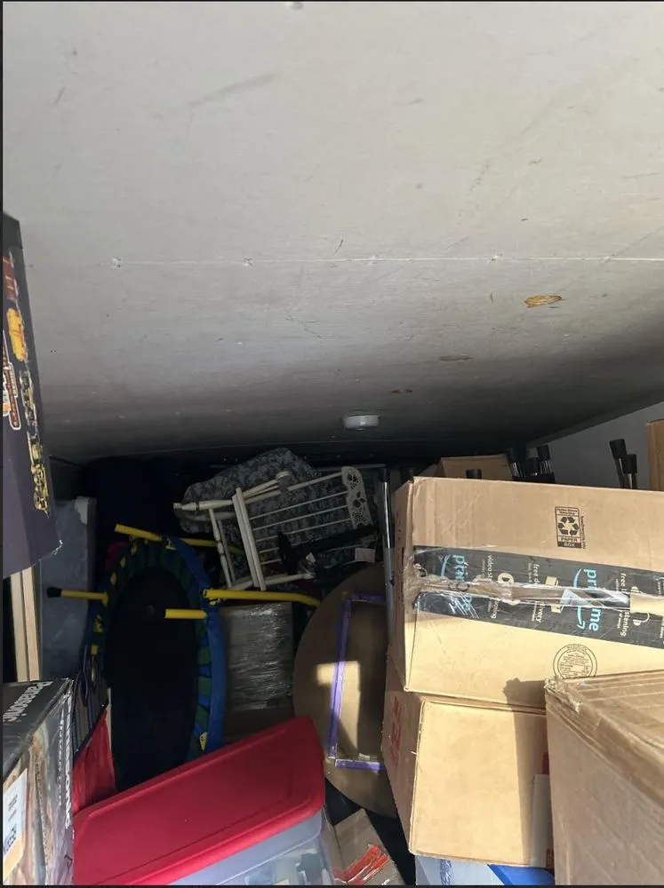 Top-rated yard cleanup service experts serving Brown Deer, WI - Road Heights Transportation