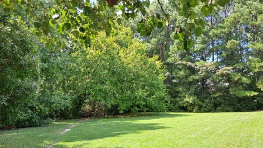 Reliable garden landscaping for outdoor upgrades across Farmville, NC - Road Runner Express