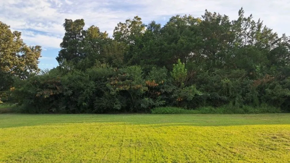 Expert landscape design in Farmville, NC - Road Runner Express