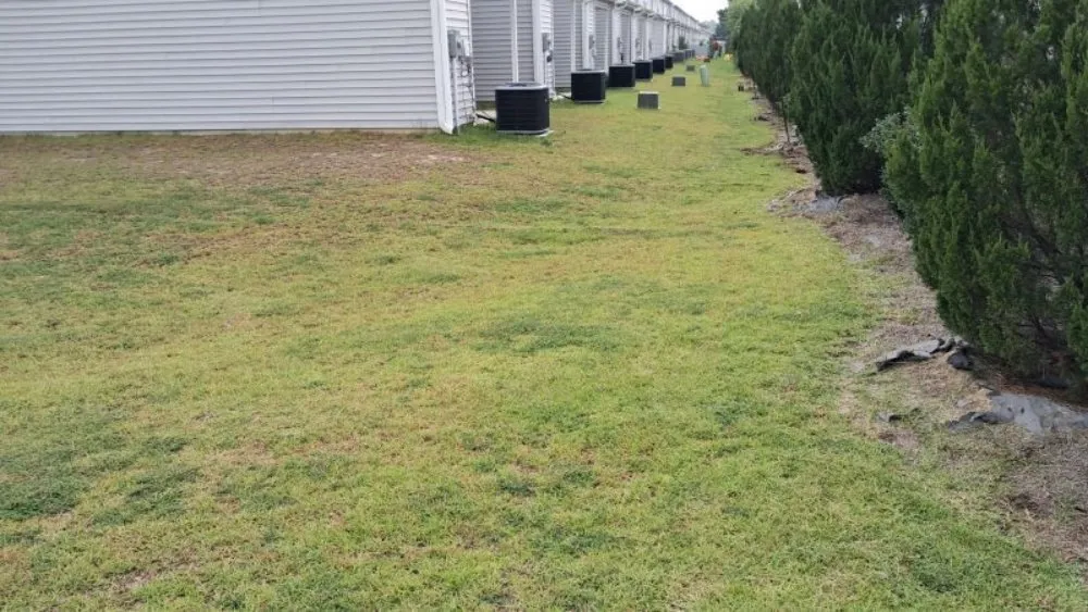 Local outdoor landscaping experts serving Farmville, NC - Road Runner Express