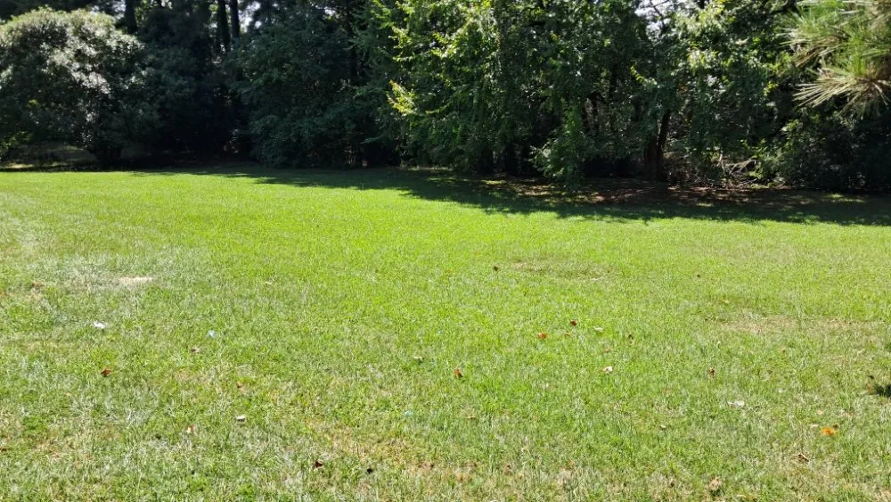 Trusted yard cleanup service for year-round maintenance across Farmville, NC - Road Runner Express