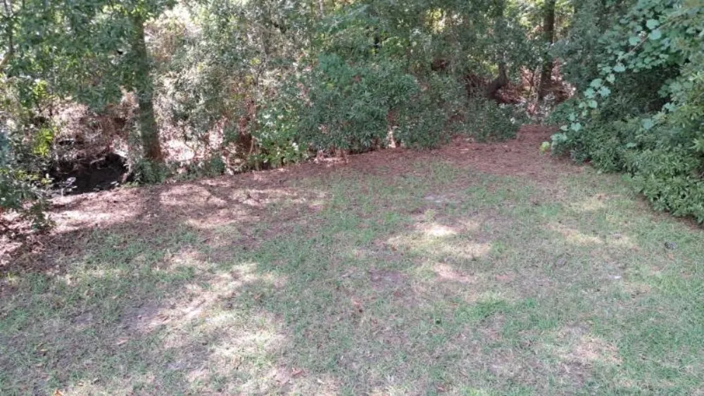 Top-rated landscape design for homes in Farmville, NC by Road Runner Express