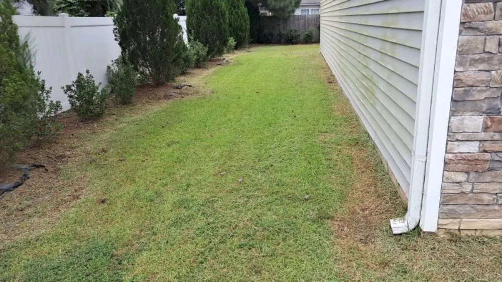 Affordable residential landscaping in Farmville, NC by Road Runner Express