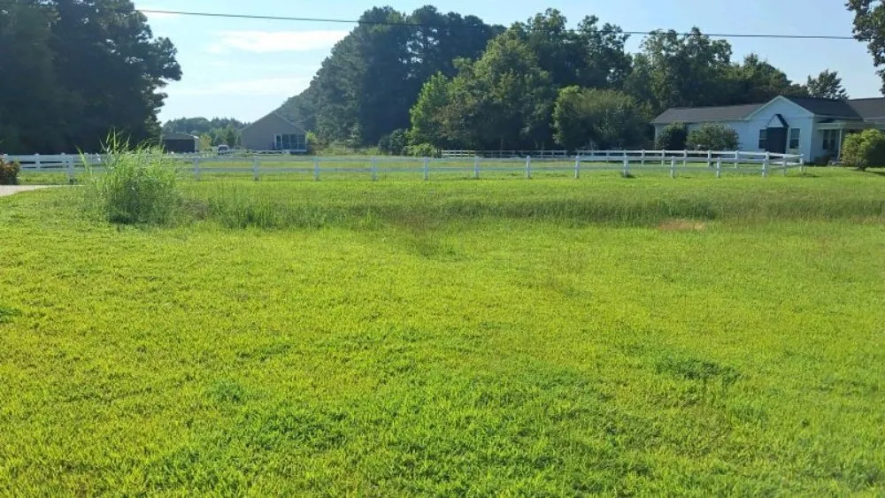 Top-rated yard cleanup service in Farmville, NC - Road Runner Express