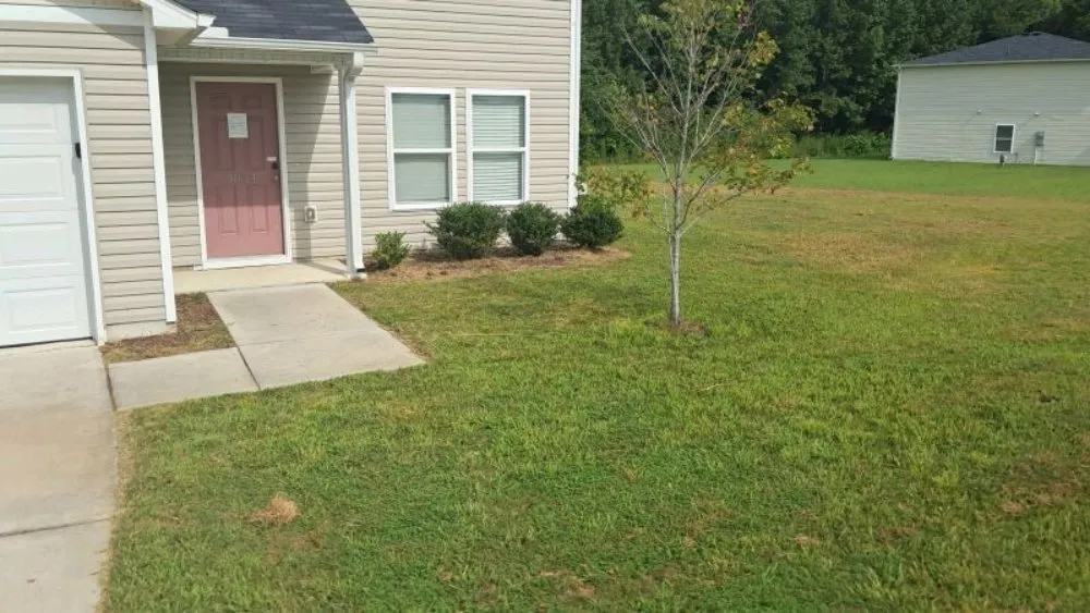 Affordable landscaping services for outdoor upgrades across Farmville, NC - Road Runner Express