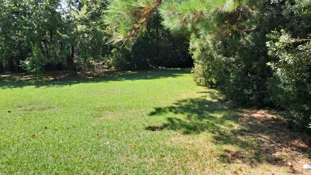 Reliable landscape installation near you in Farmville, NC by Road Runner Express